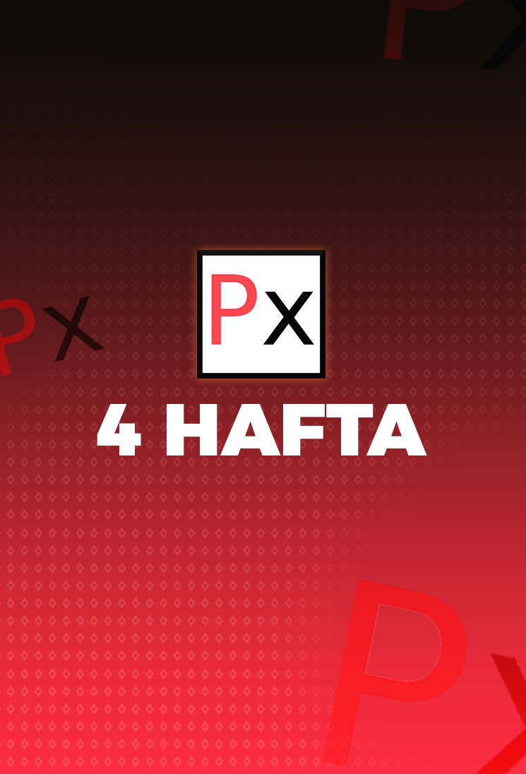 phBot 4 Hafta