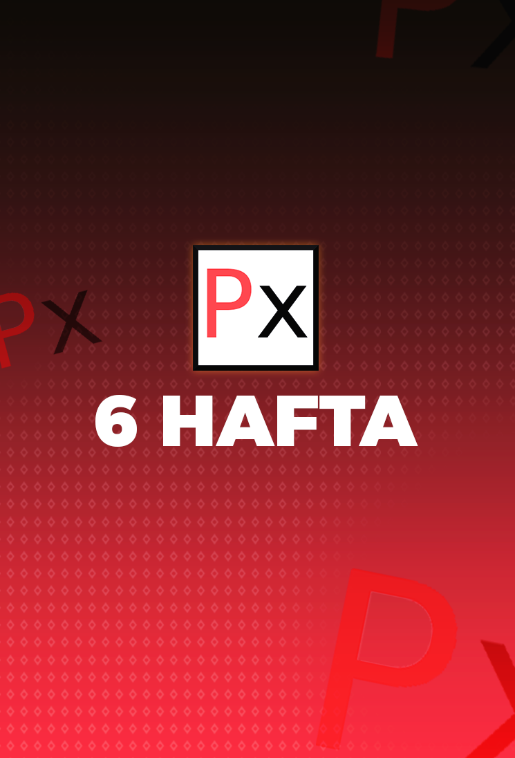 phBot 6 Hafta